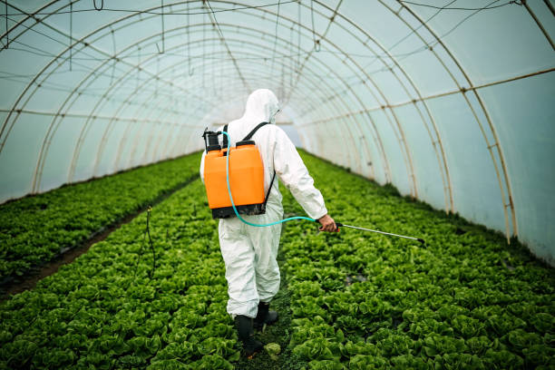Best Pest Control Near Me  in Pleasant Grove, AL