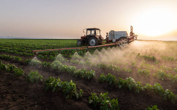 Best Pest Removal Services  in Pleasant Grove, AL