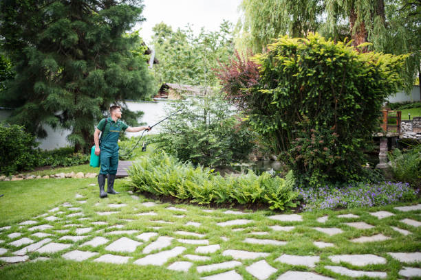 Best Affordable Pest Control Services  in Pleasant Grove, AL