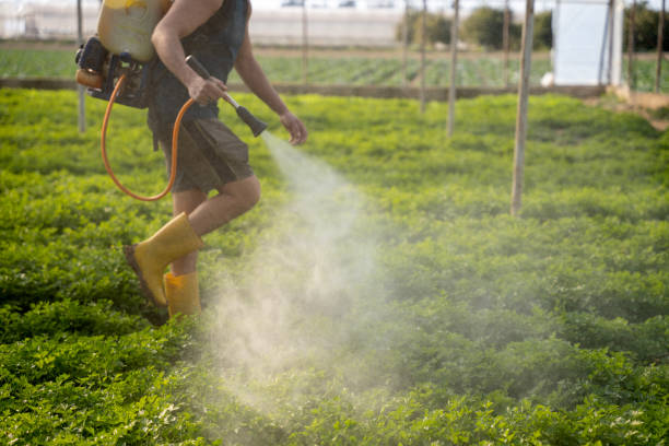 Best Commercial Pest Control Services  in Pleasant Grove, AL
