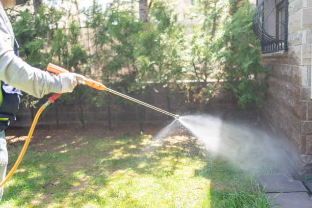 Professional Pest Control in Pleasant Grove, AL