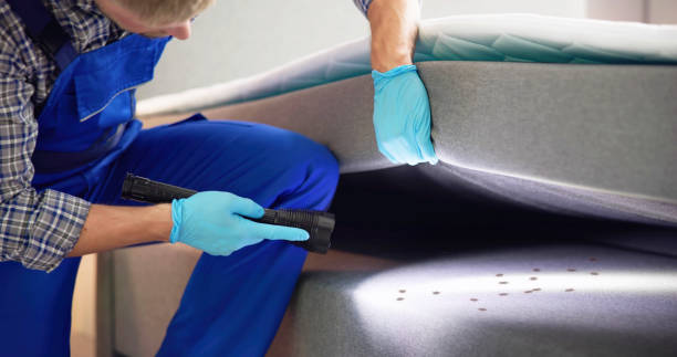 Best Bed Bug Extermination  in Pleasant Grove, AL