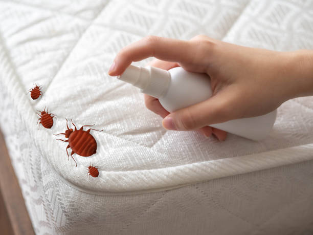 Best Local Pest Control Services  in Pleasant Grove, AL