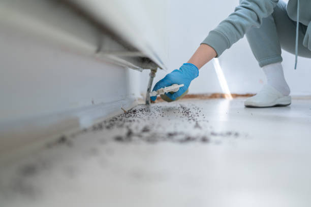 Pest Prevention Services in Pleasant Grove, AL